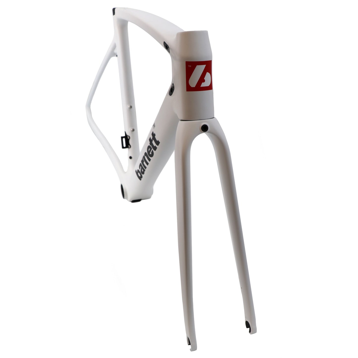 Cadre de vélo en carbone BRC-01, blanc, noir