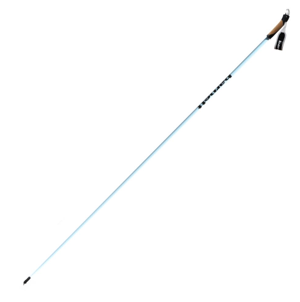 XC-09 Bâtons de ski en carbone pour ski nordique et roller, Blue Light